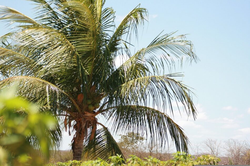 Di Rias Em Aracaju E Voos De Ida E Volta Saindo De Belo Horizonte Por